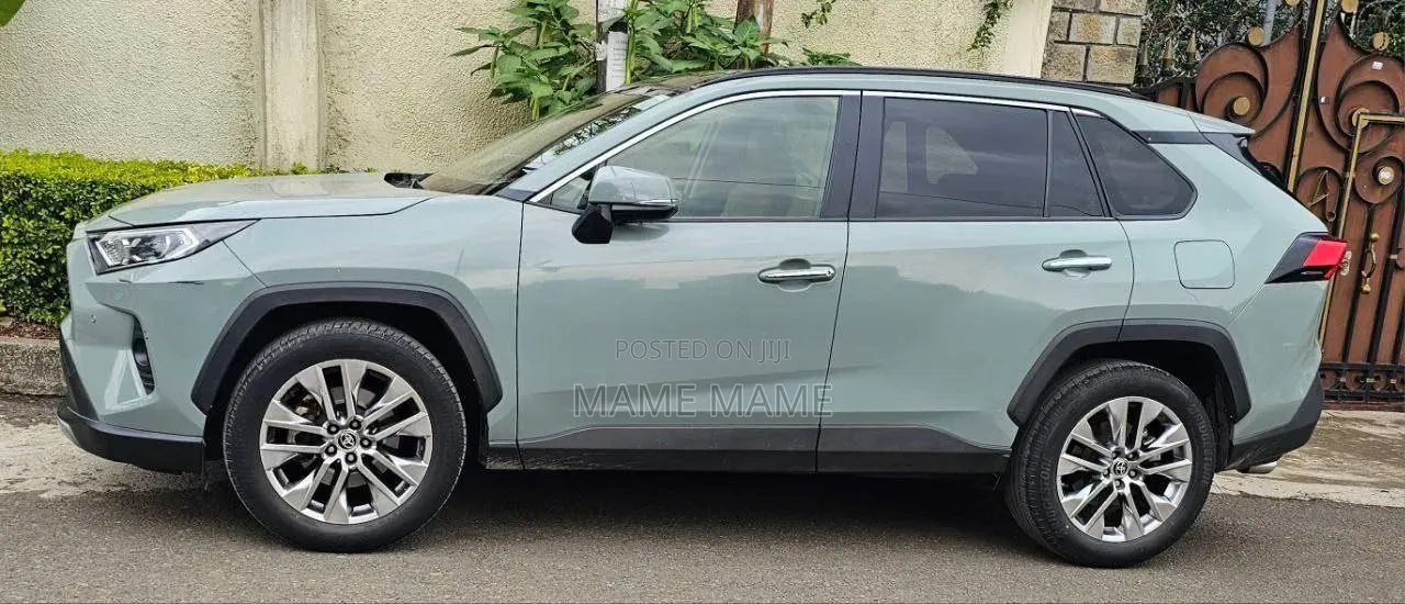Toyota RAV4 2020 Gray
