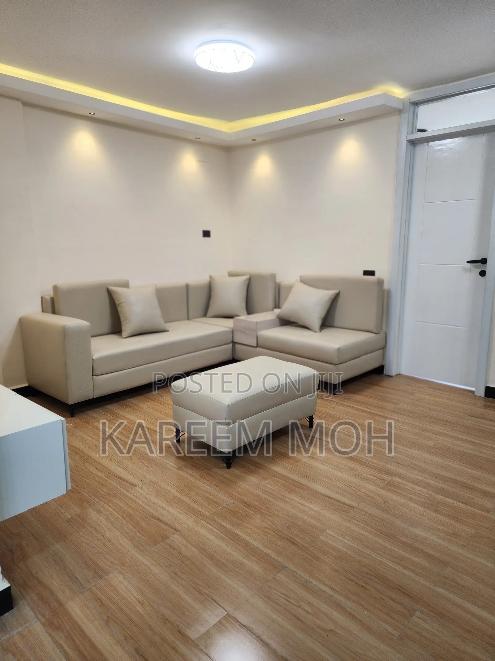Elegant Sofa