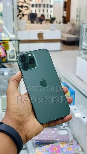 Apple iPhone 13 Pro Max 256 GB Gray