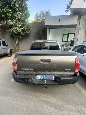 Toyota Tacoma 2008 Beige