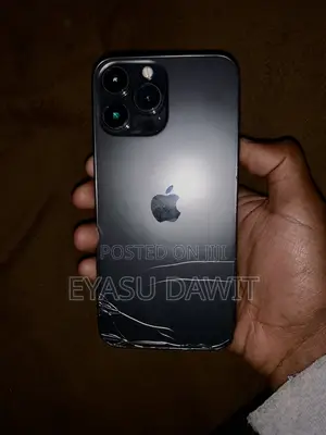 Apple iPhone 13 Pro Max 256 GB Gray
