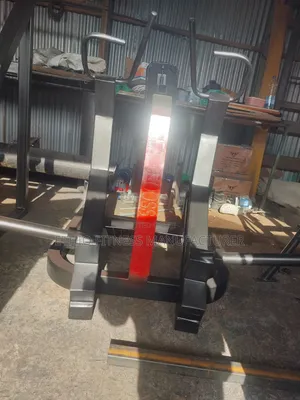 ጀርባ ማሽን Elite Gym Equipmentpremium Back Machine High Performance