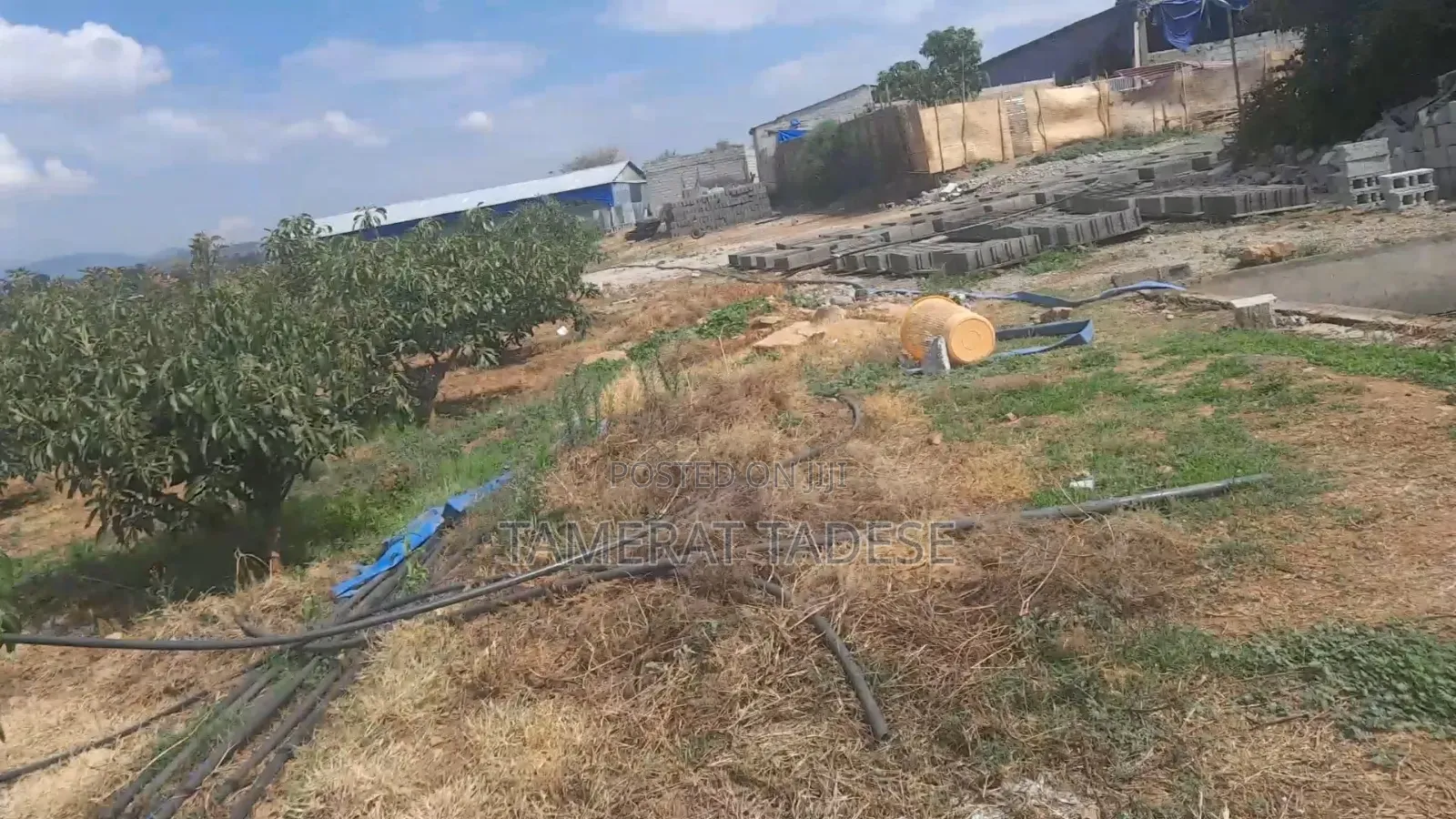 Urban Agriculture