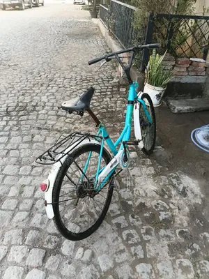 Forever Cycle