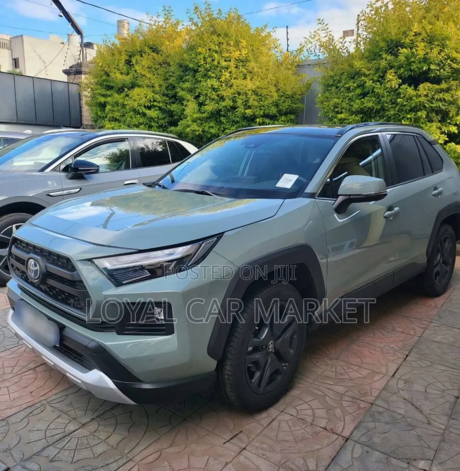 Toyota RAV4 2022 Green