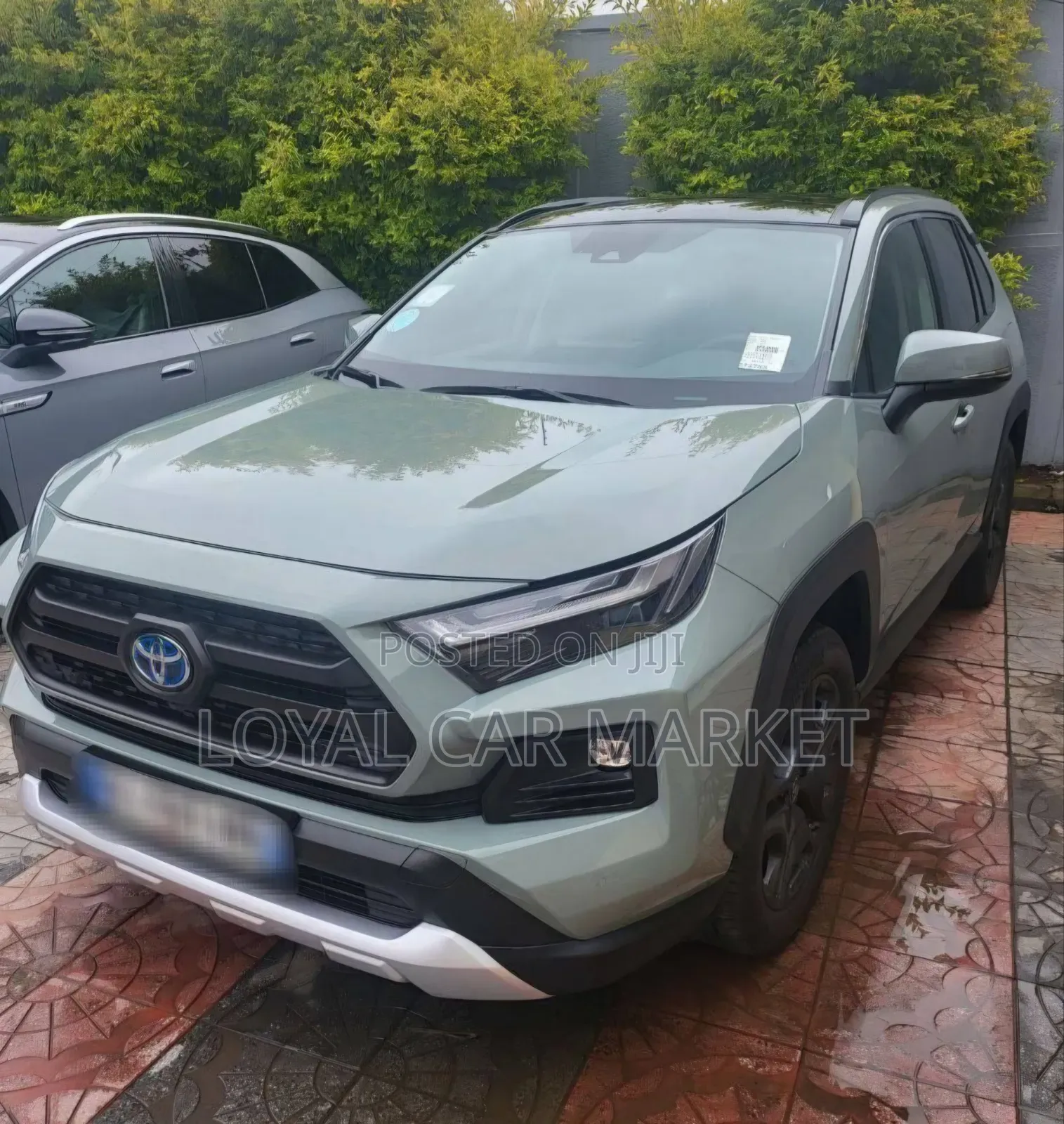 Toyota RAV4 2022 Green