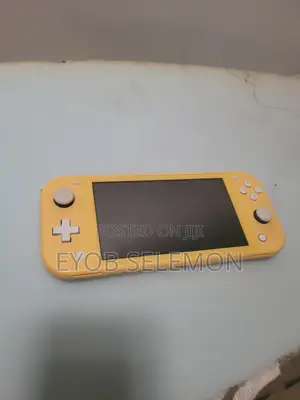Nintendo Lite በጣም ቅናሽ