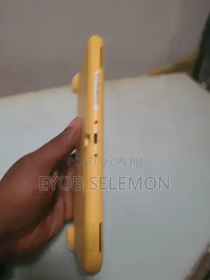 Nintendo Lite በጣም ቅናሽ