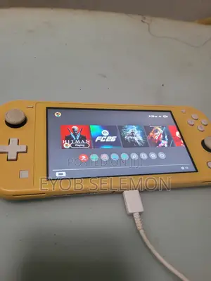 Nintendo Lite በጣም ቅናሽ