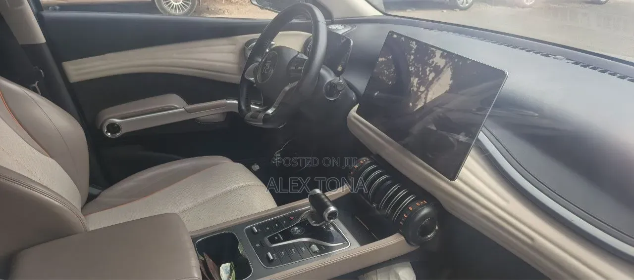 BYD Yuan Plus 2024 Gray