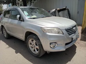 Toyota RAV4 2011 Silver