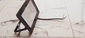 Flood Light