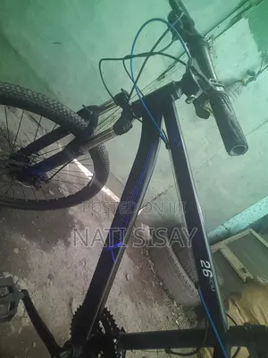 Phonix Already New Bike
