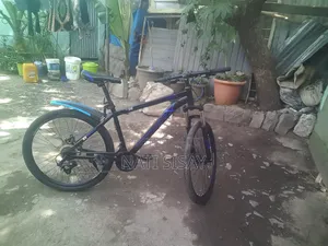 Phonix Already New Bike