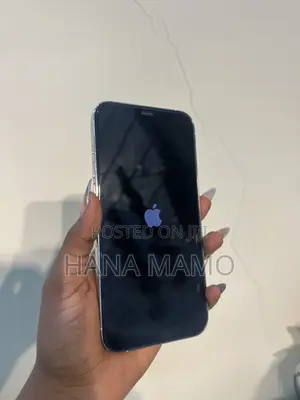 Apple iPhone 12 Pro Max 256 GB White