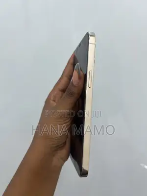 Apple iPhone 12 Pro Max 256 GB White