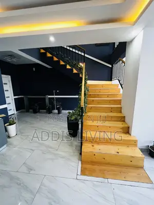 Furnished 3bdrm Apartment in Bole for rent
