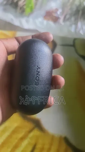 Sony Wf-Xb700 Earphone