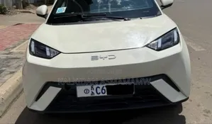 BYD Seagull 2024 White