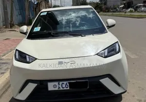 BYD Seagull 2024 White