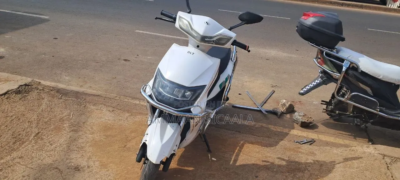 Bir Eco 2025 White