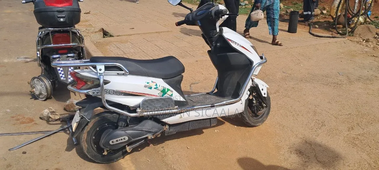 Bir Eco 2025 White