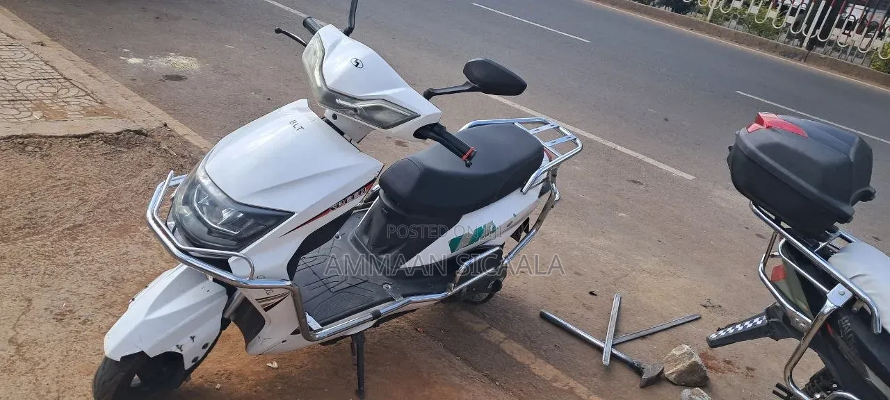 Bir Eco 2025 White