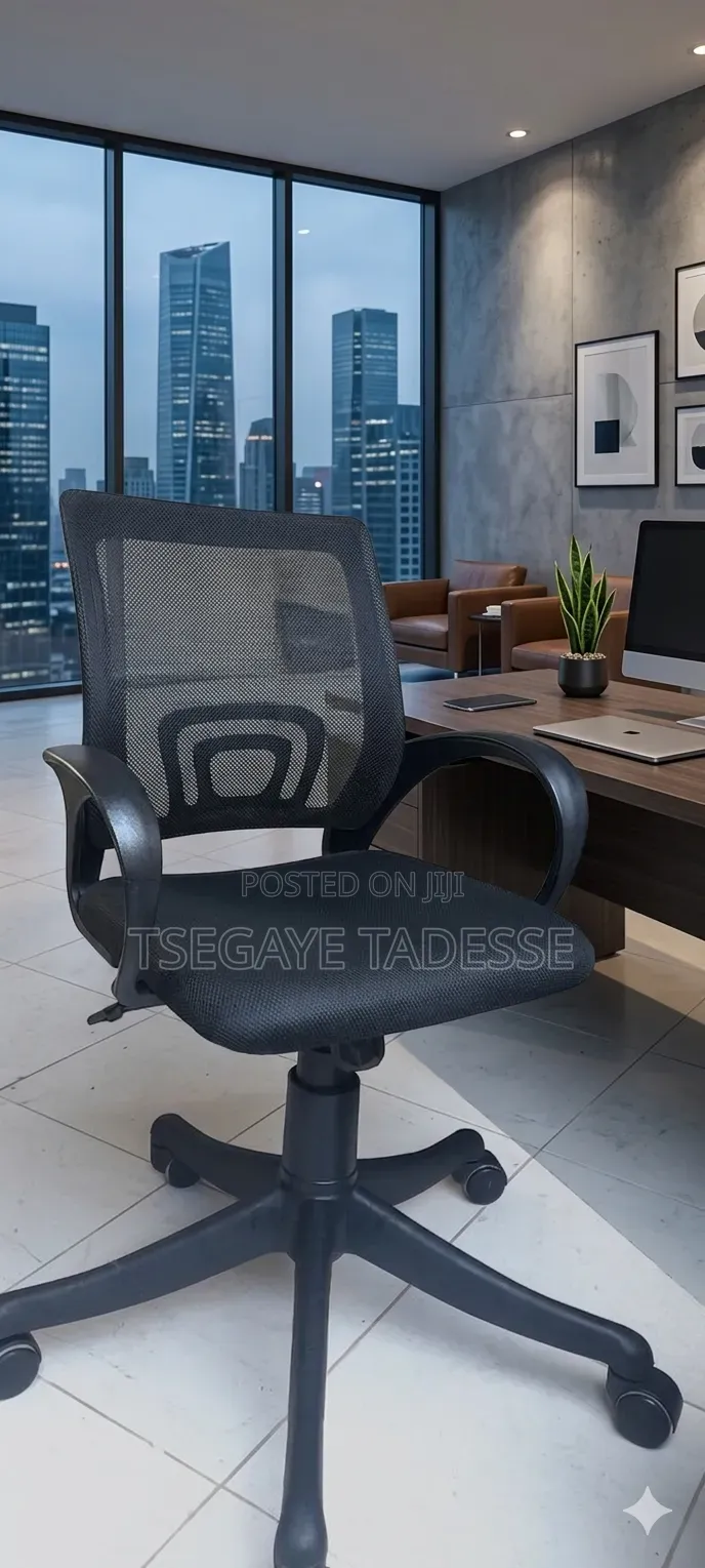 Mini Office and Study Chair