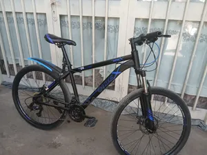 Ridex New Brand Bicycle