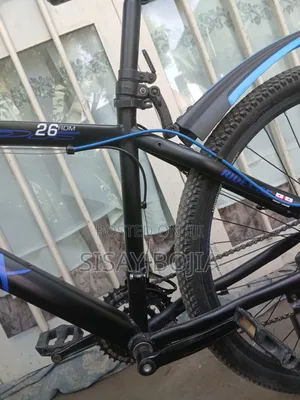 Ridex New Brand Bicycle
