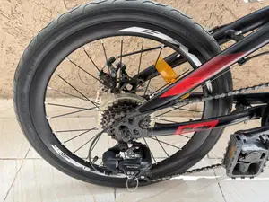 Folding Bicycle