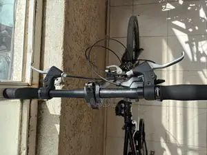 Folding Bicycle