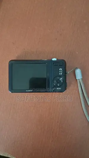Sony Cyber-Shot DSC W710 Digital Camera