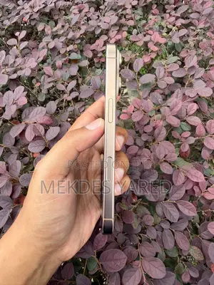 New Apple iPhone 16 Pro 128 GB Silver