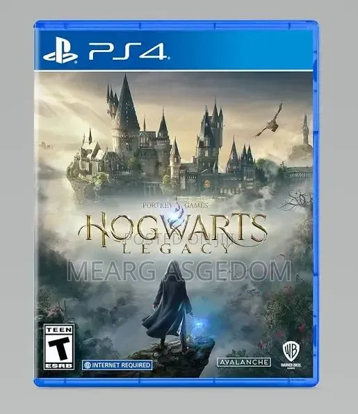 Hogwarts Legacy Ps4 Game