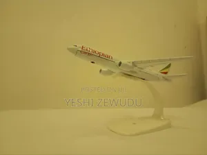Ethiopian Cargo Small Aircraft Model