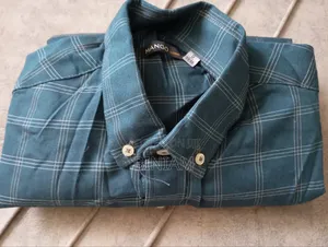 Mango Shirt