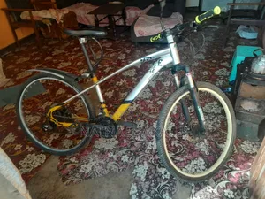 Cycle ሳይክል