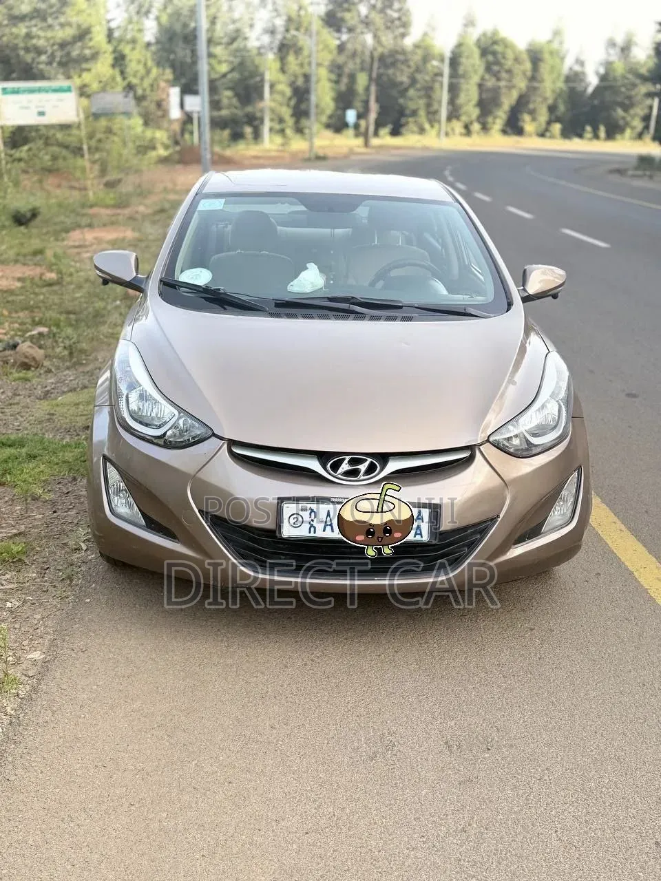 Hyundai Elantra 2014 Gold