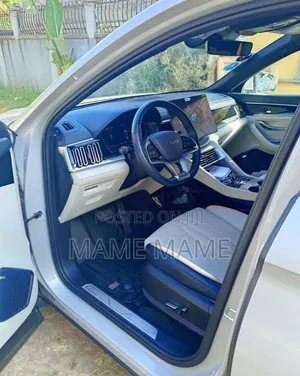 New BYD Song Plus DM-i 2024 Gray