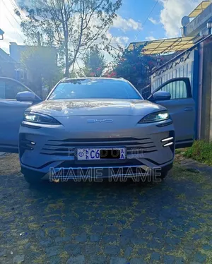 New BYD Song Plus DM-i 2024 Gray
