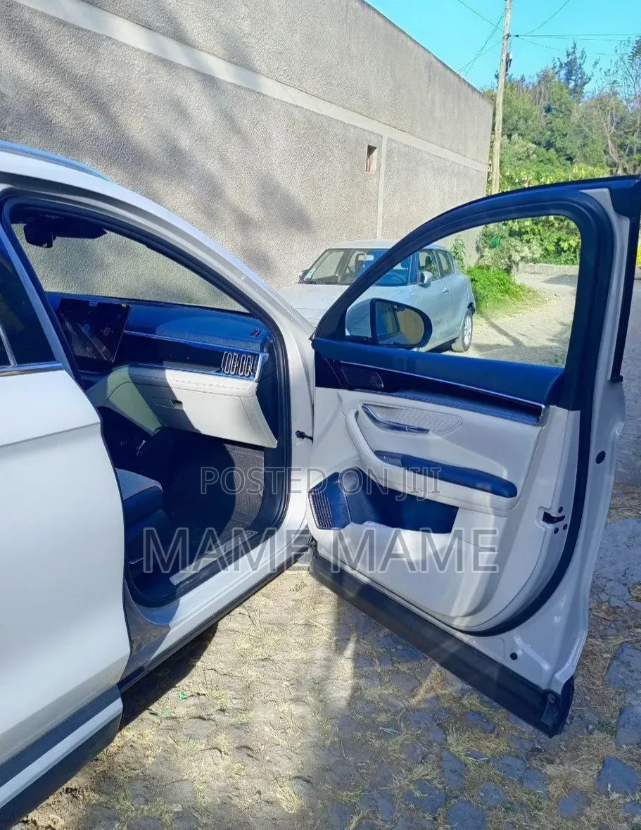 New BYD Song Plus DM-i 2024 Gray