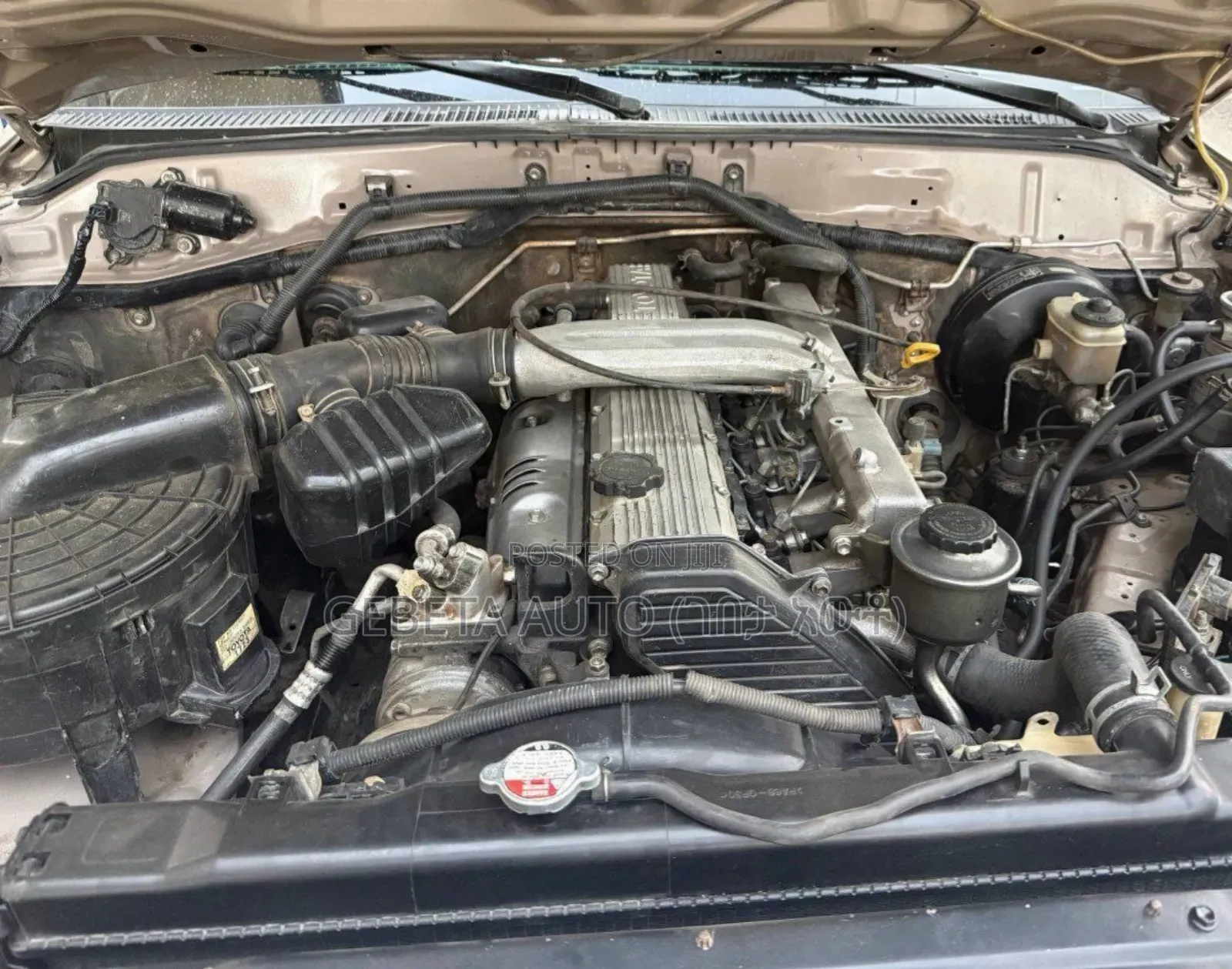 Toyota Land Cruiser 2007 Gold