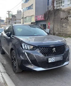 Peugeot 2008 2022 Gray