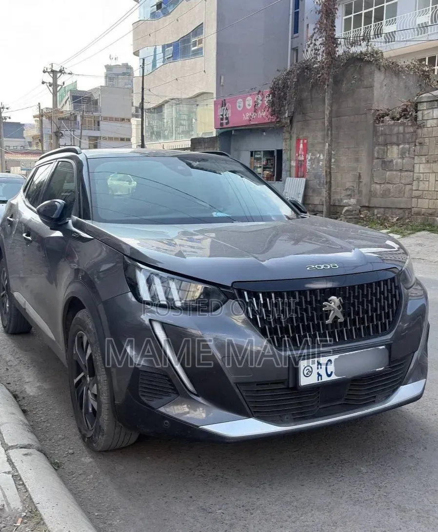 Peugeot 2008 2022 Gray