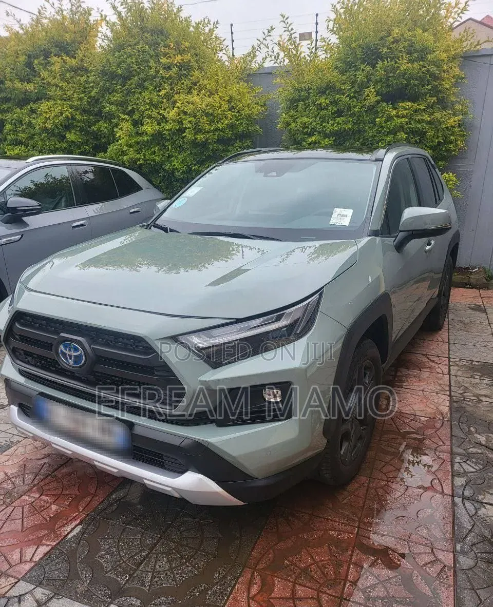 Toyota RAV4 2022 Gray