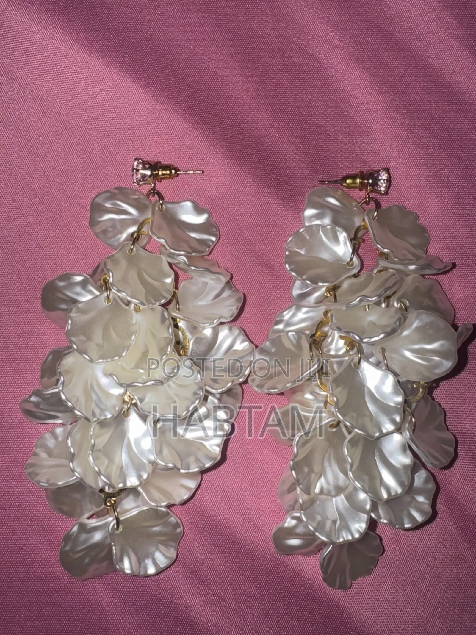 Earring Jewelry
