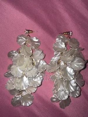 Earring Jewelry