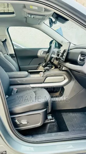 New BYD Leopard 3 2025 Gray