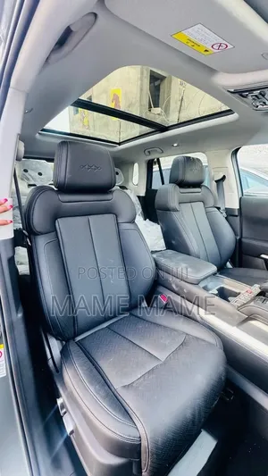 New BYD Leopard 3 2025 Gray